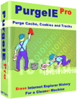 Download PurgeIE Pro - the professional edition of PurgeIE